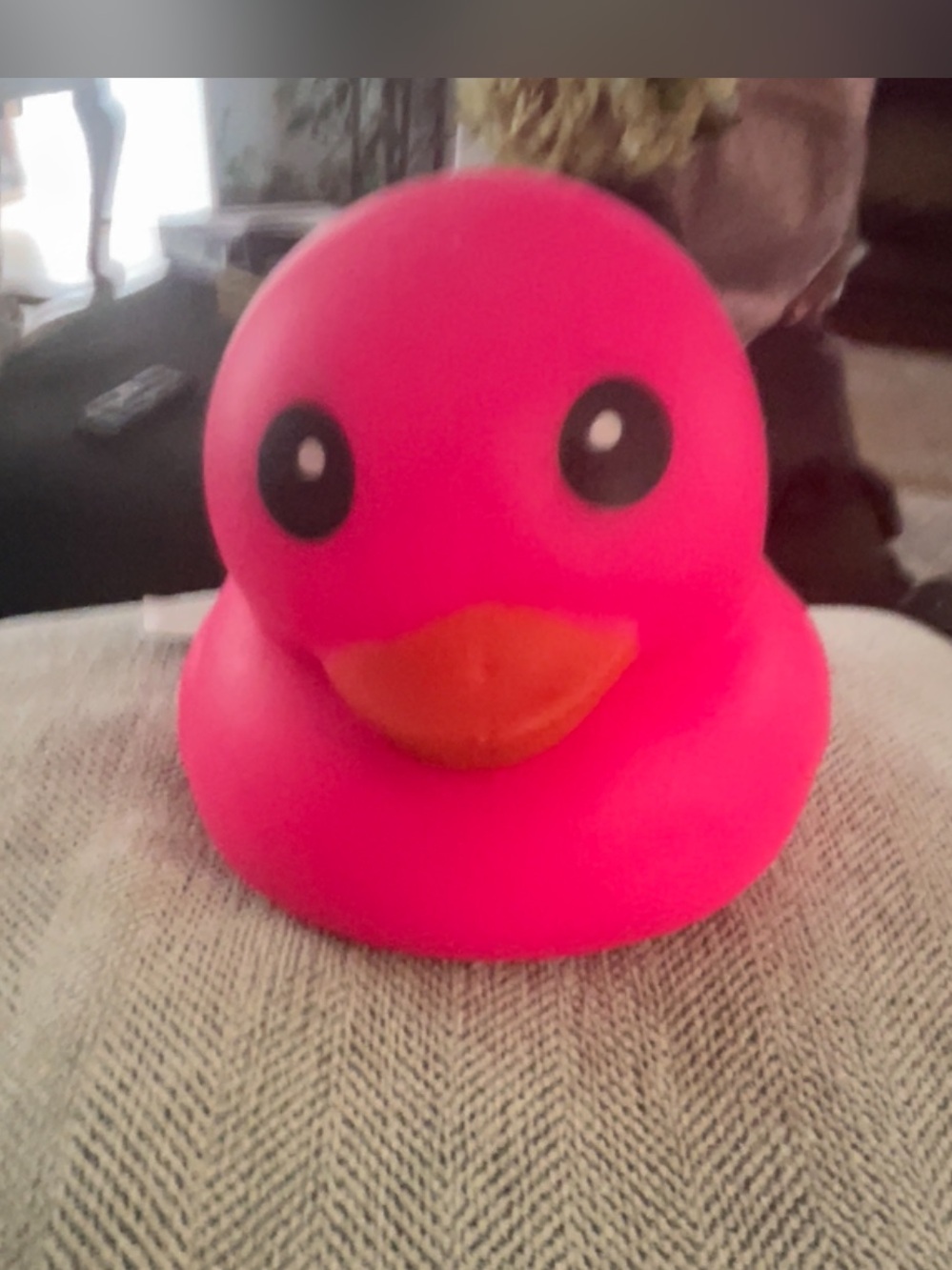Bright Pink Duck Squishy